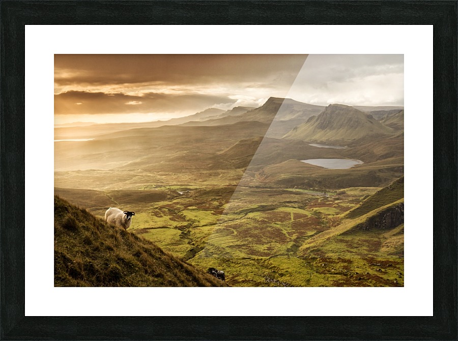 9W8A2327copy Picture Frame print
