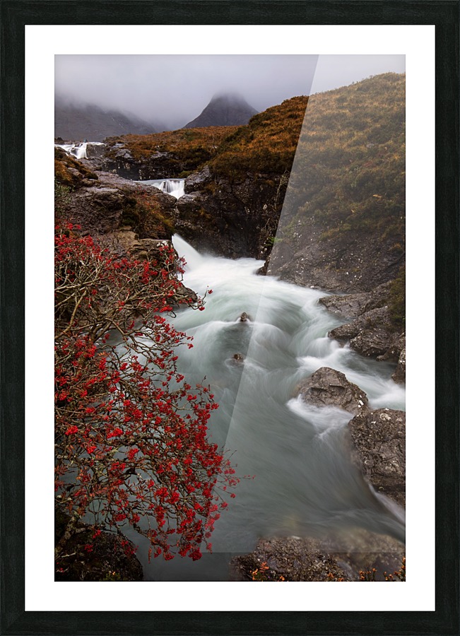 9W8A3225copy Picture Frame print