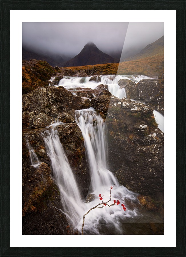 9W8A3247copy Picture Frame print