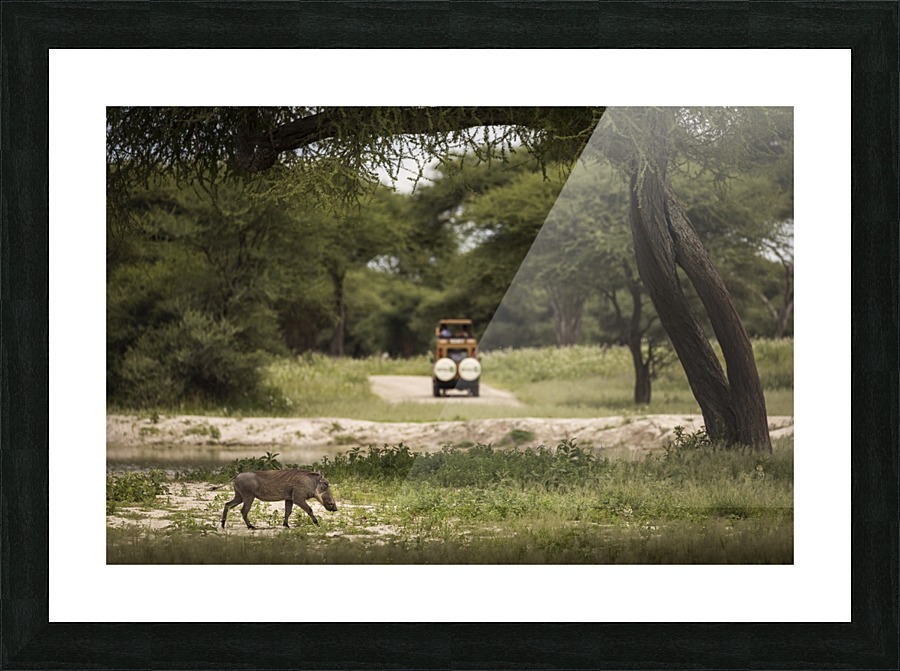 9W8A1862copy Picture Frame print