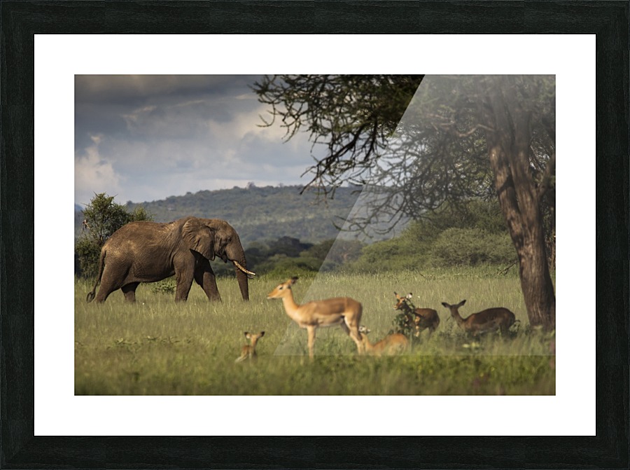  Fine Art print