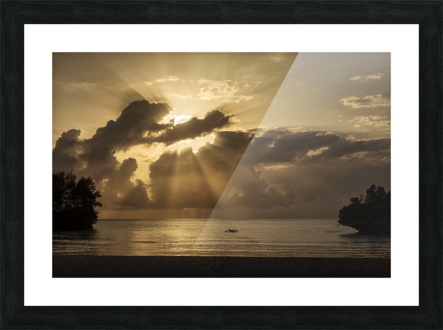  Fine Art print