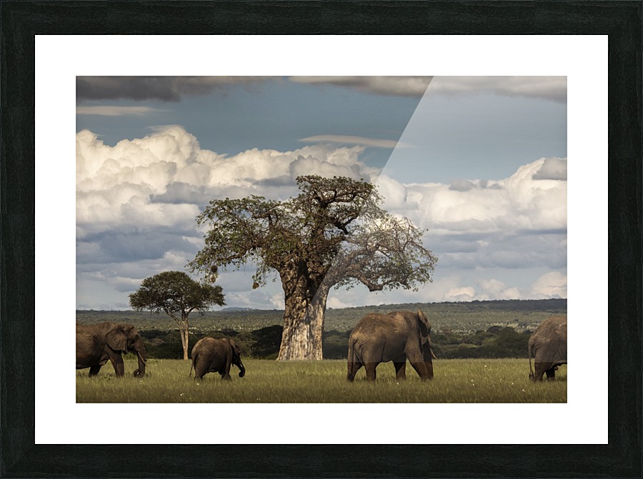  Fine Art print
