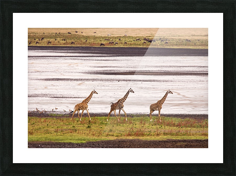  Fine Art print