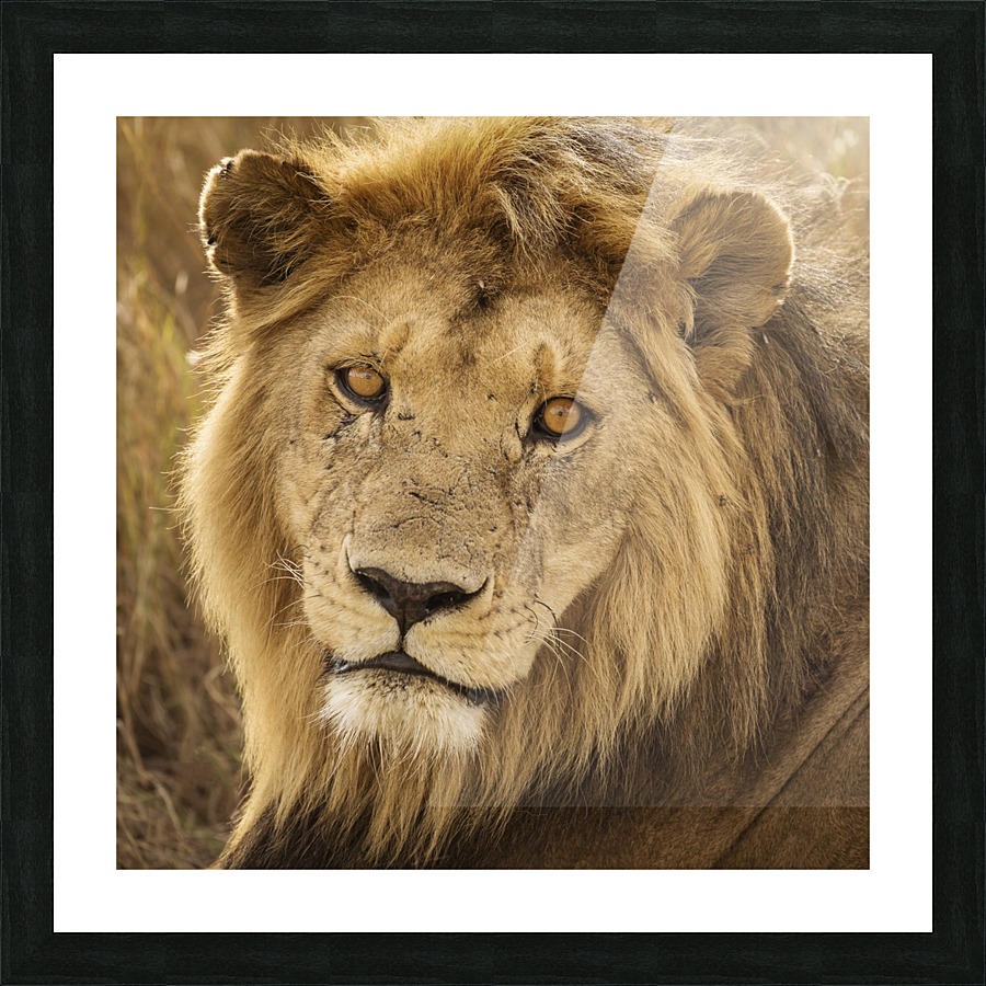  Fine Art print