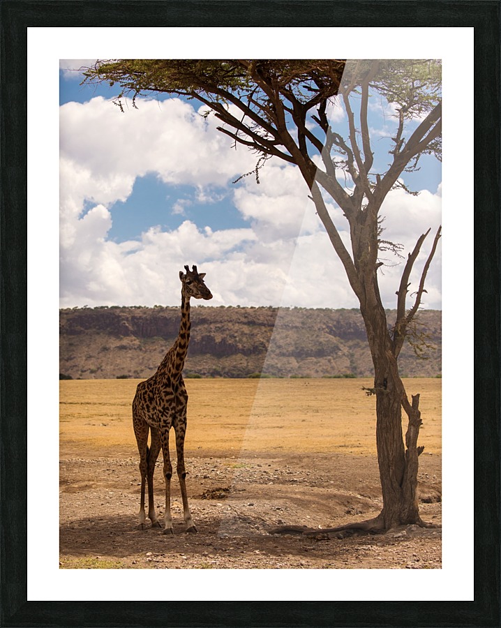  Fine Art print