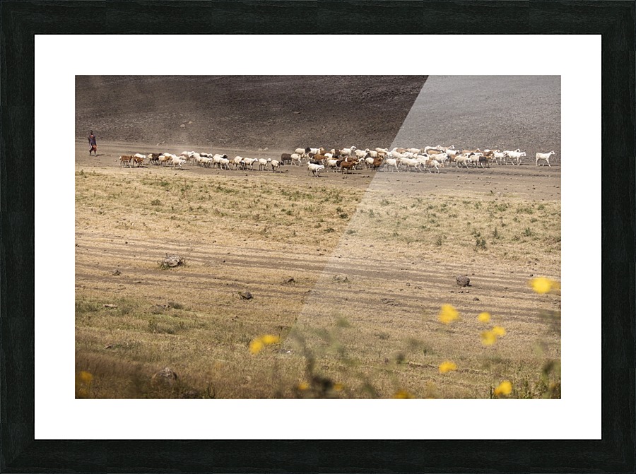  Fine Art print