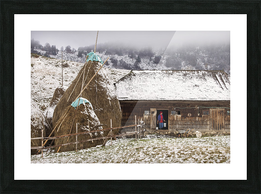  Fine Art print