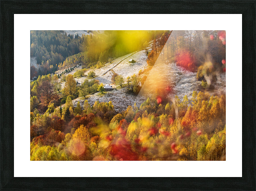  Fine Art print