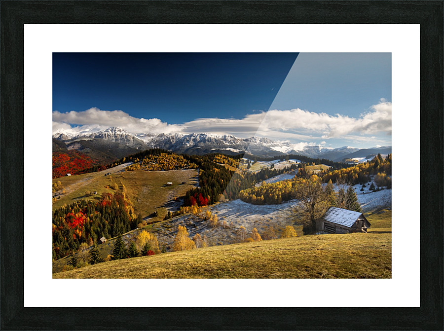  Fine Art print