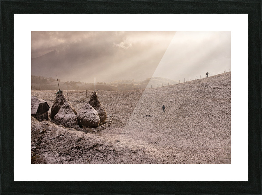  Fine Art print