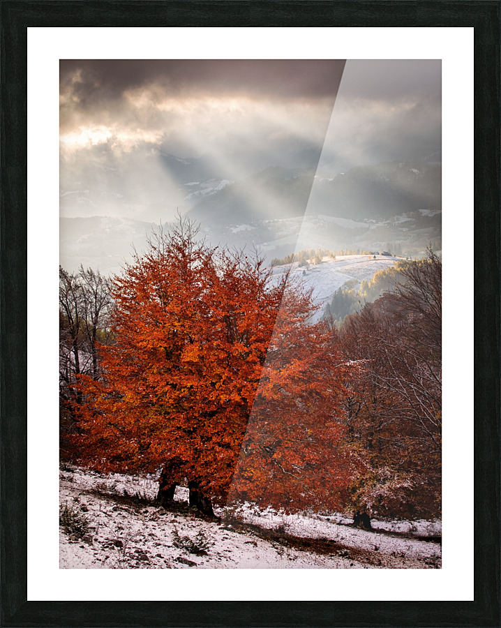  Fine Art print