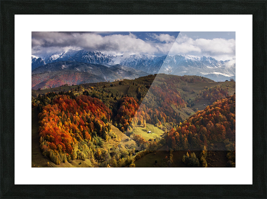  Fine Art print