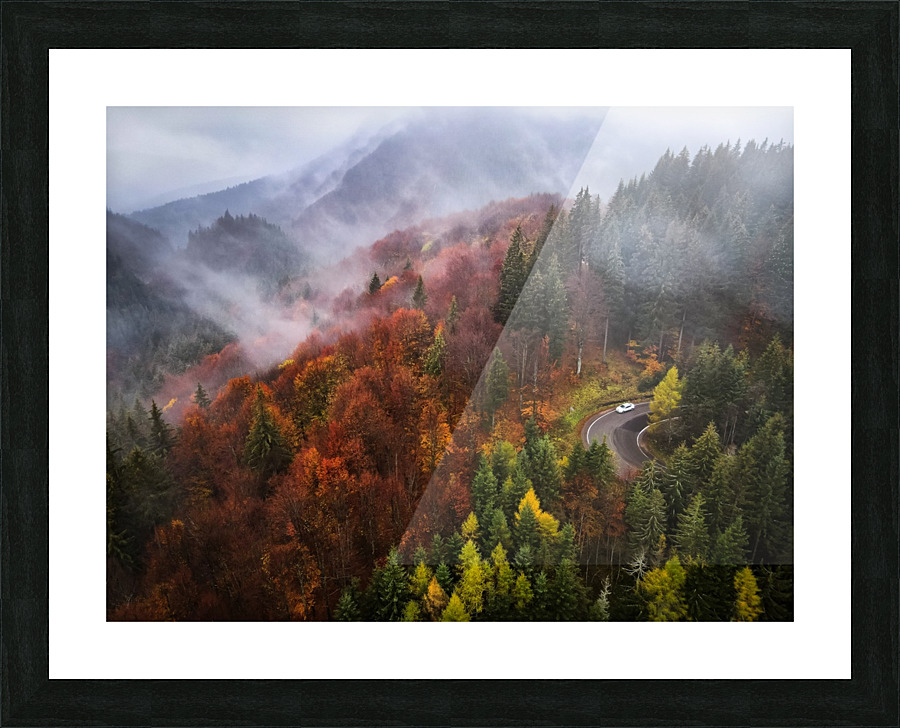  Fine Art print