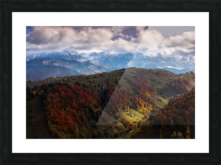  Fine Art print