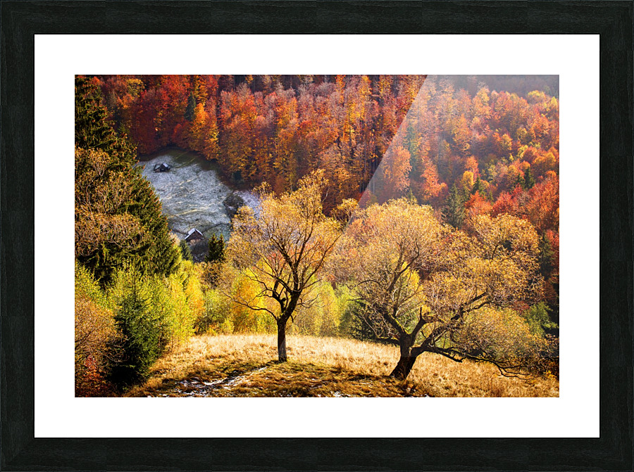  Fine Art print