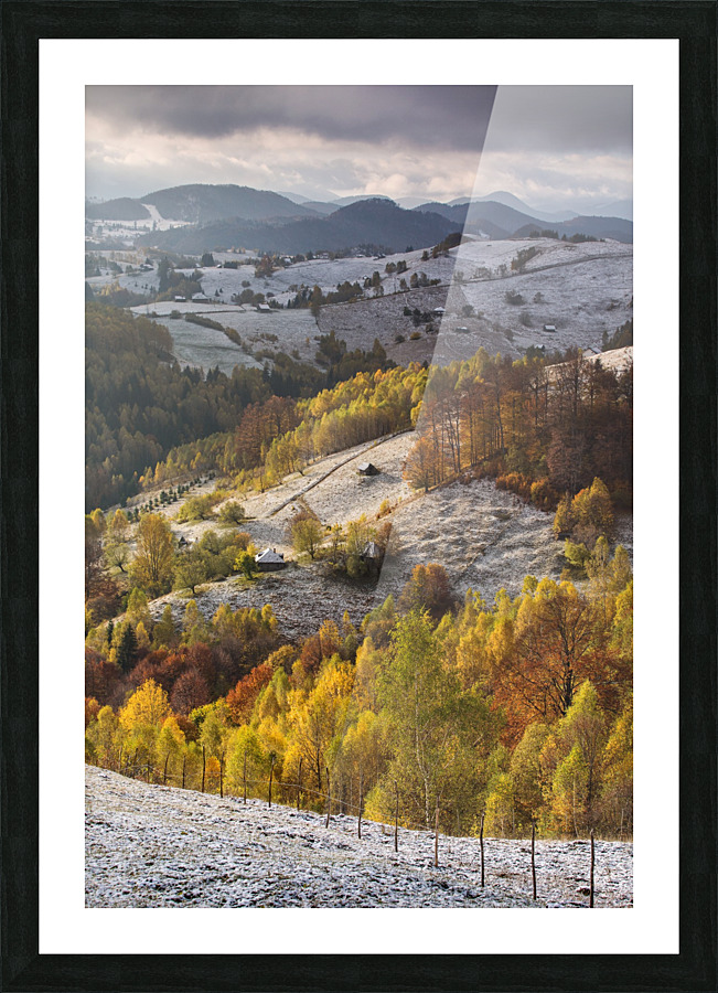  Fine Art print