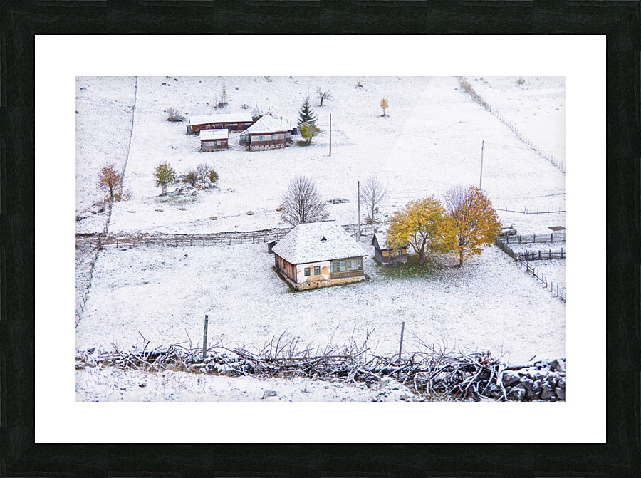  Fine Art print