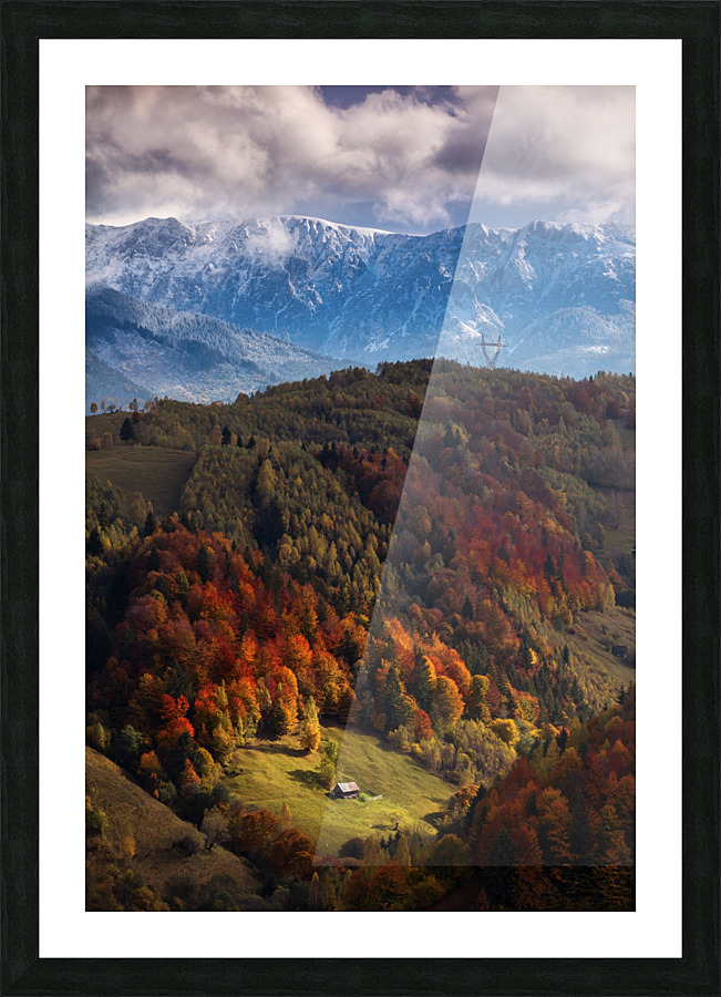  Fine Art print