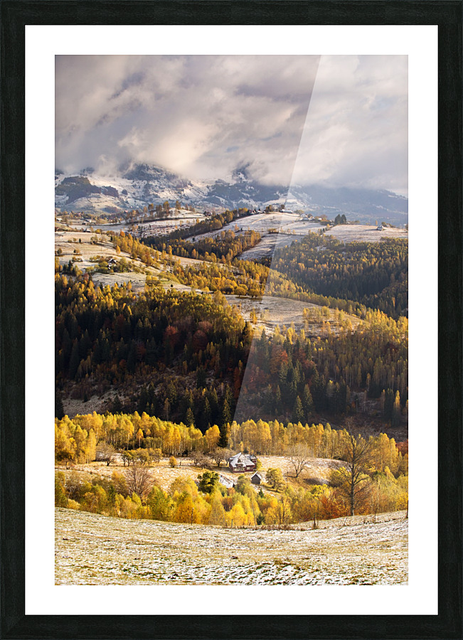  Fine Art print