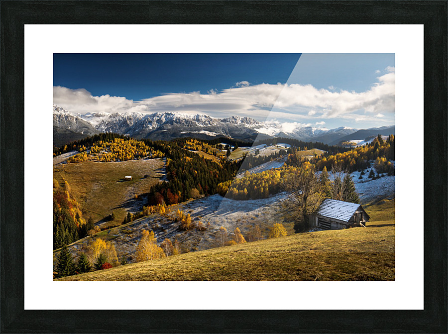  Fine Art print