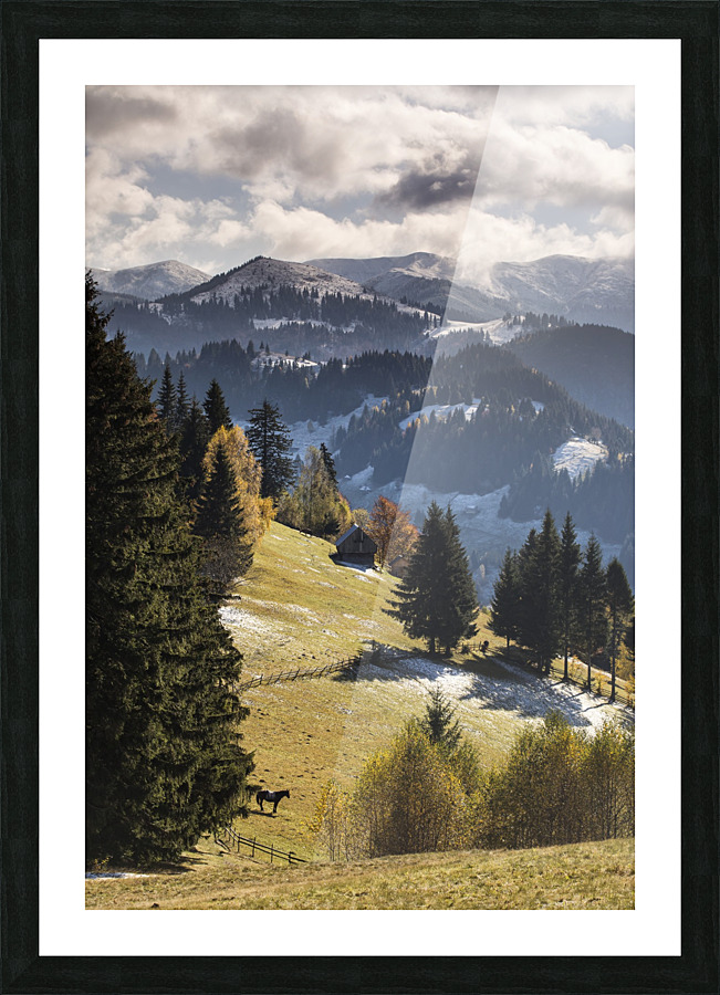  Fine Art print