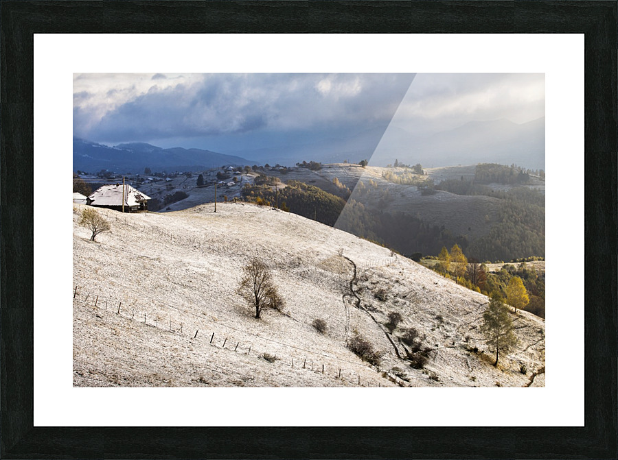  Fine Art print