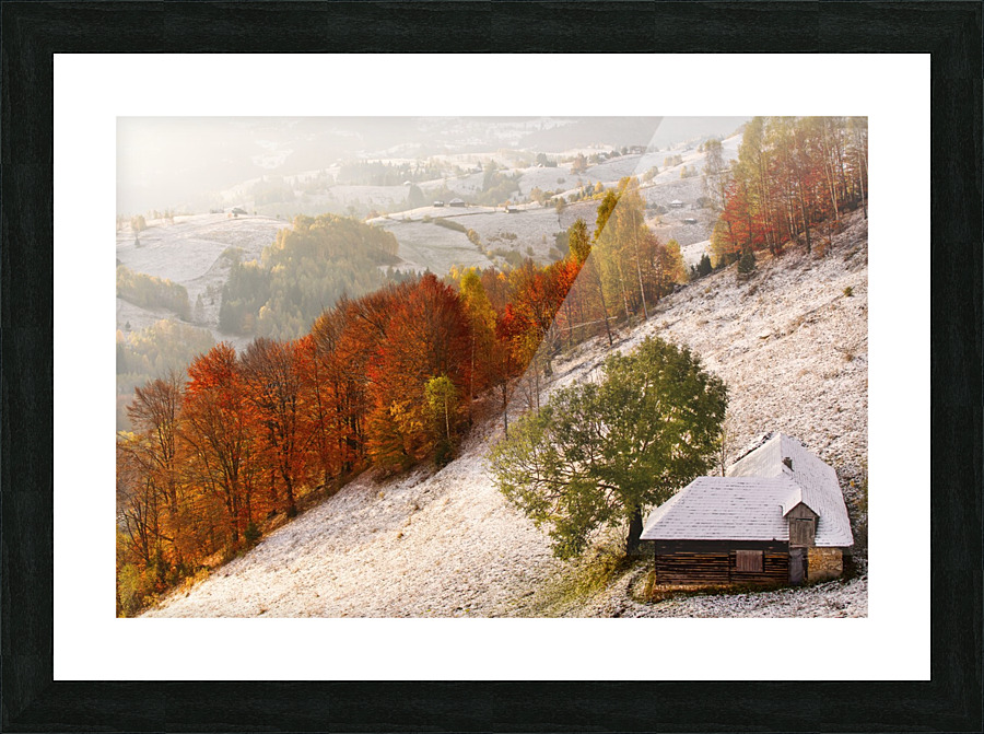  Fine Art print