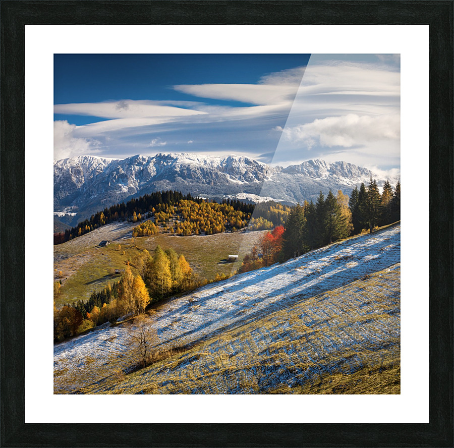  Fine Art print