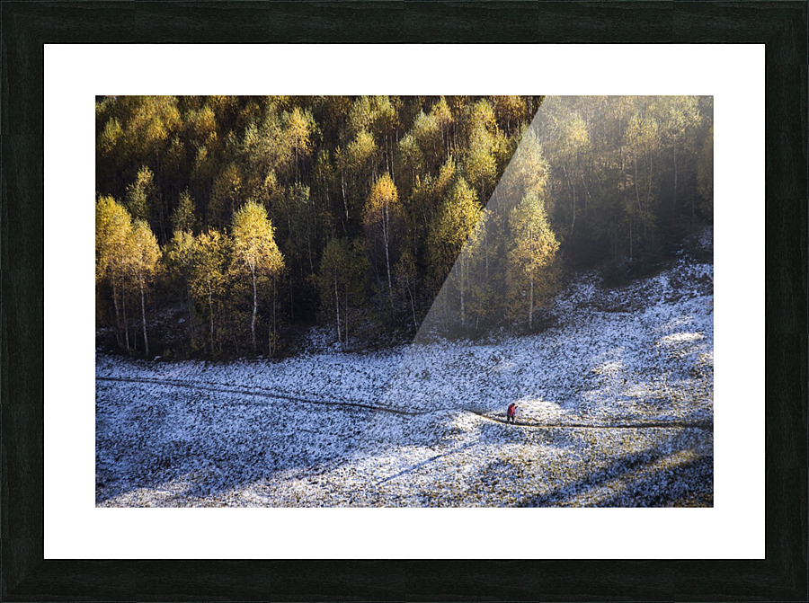  Fine Art print