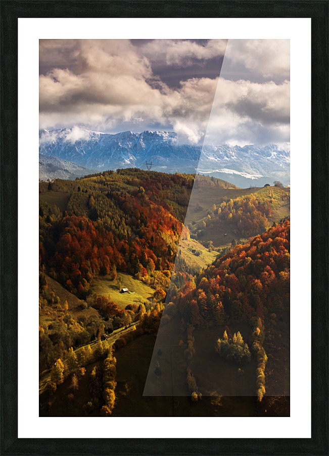  Fine Art print
