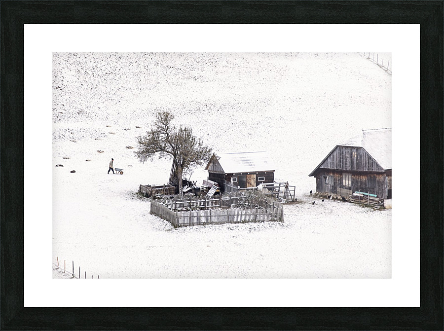  Fine Art print