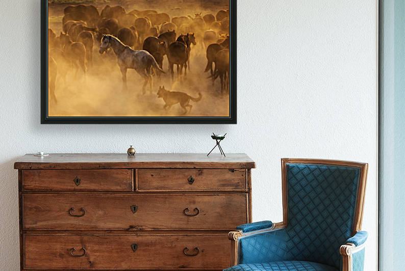 Western cowboys riding horses, roping wild horses by MIRICA DAN-ALEXANDRU