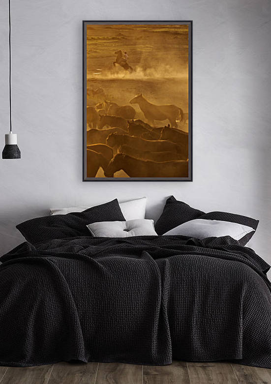 Western cowboys riding horses, roping wild horses by MIRICA DAN-ALEXANDRU