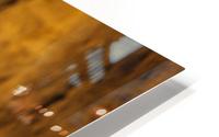 3W3A9960 copy HD Metal print