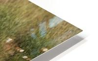 3W3A9364 HD Metal print