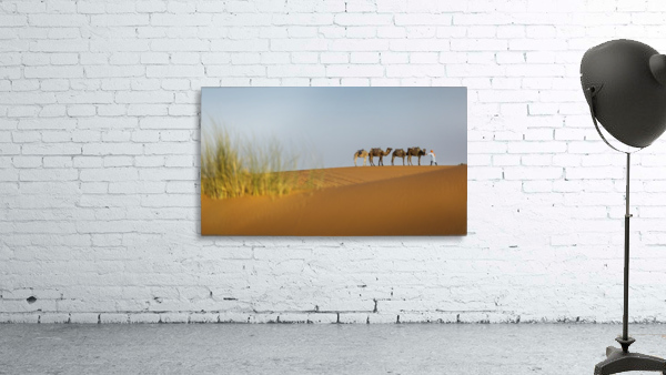 3W3A3729 copy Wall Preview