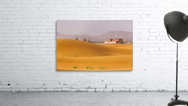 3W3A2898 copy Wall Preview