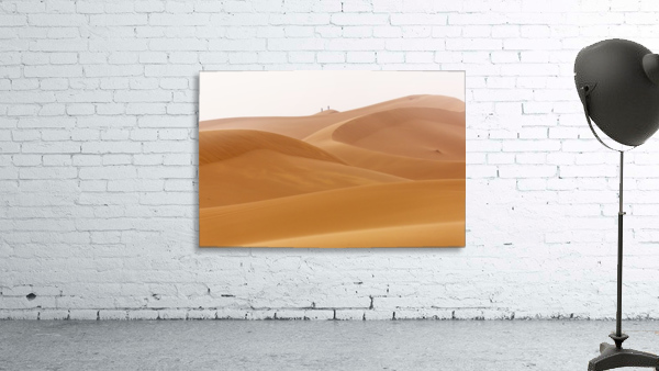 3W3A3358 copy Wall Preview