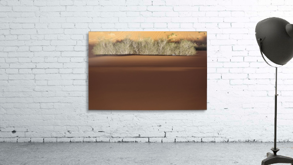 3W3A2728 copy Wall Preview