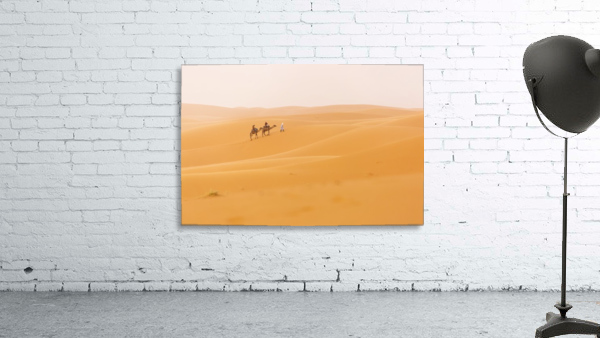 3W3A3419 copy Wall Preview