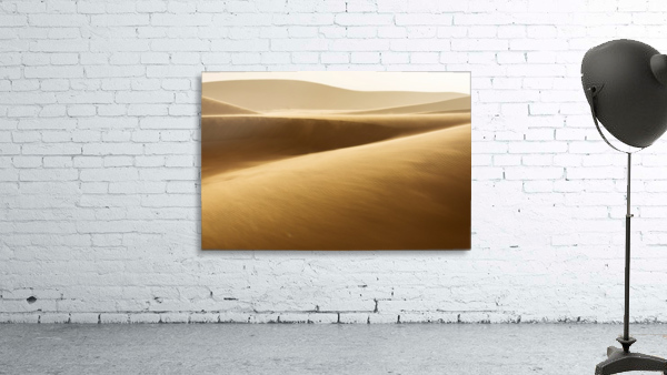 3W3A3264 copy Wall Preview
