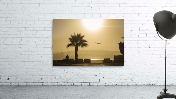3W3A5575 copy Wall Preview