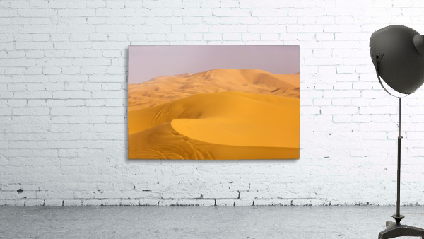 3W3A2788 copy Wall Preview