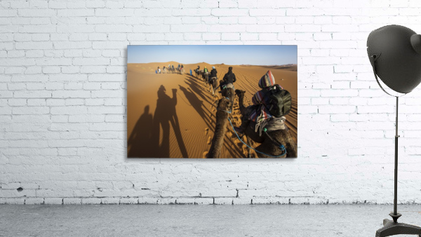 3W3A3789 copy Wall Preview