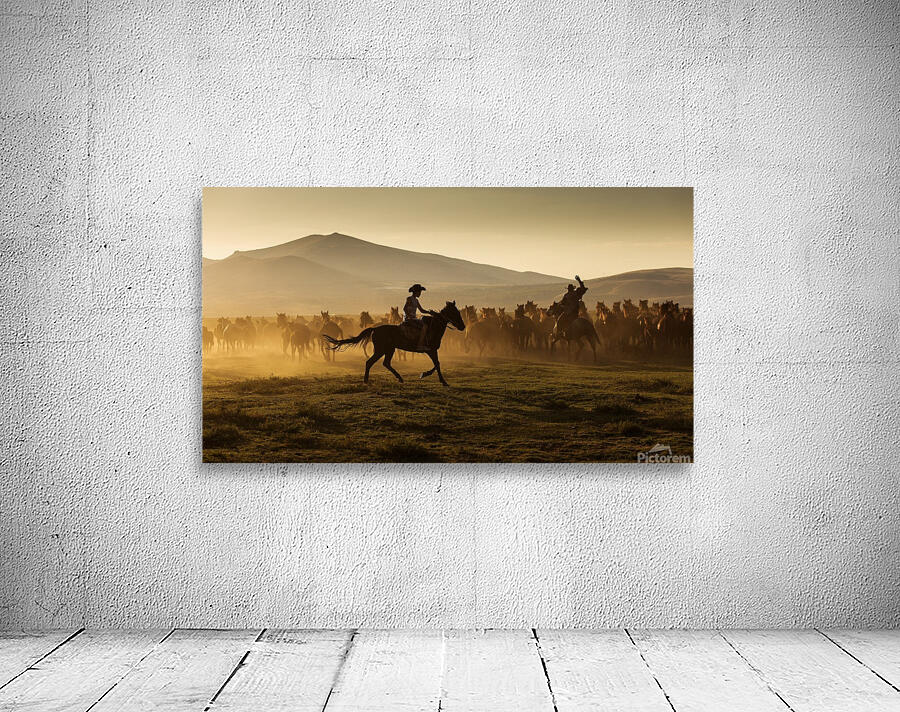 3W3A9165 copy Wall Preview