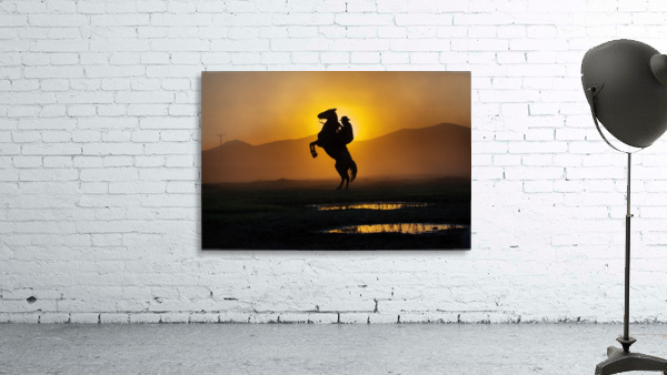 3W3A9560 copy Wall Preview