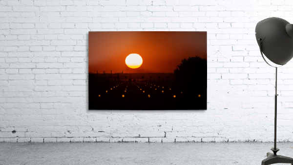 3W3A3919 copy Wall Preview