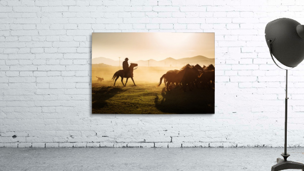3W3A9160 (1) Wall Preview
