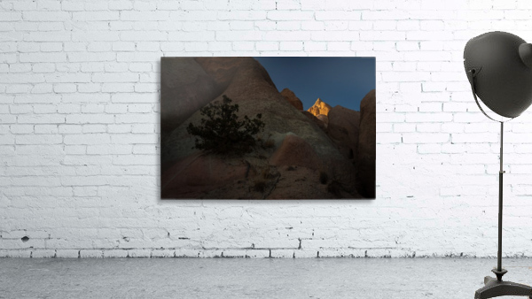 3W3A6032 copy Wall Preview